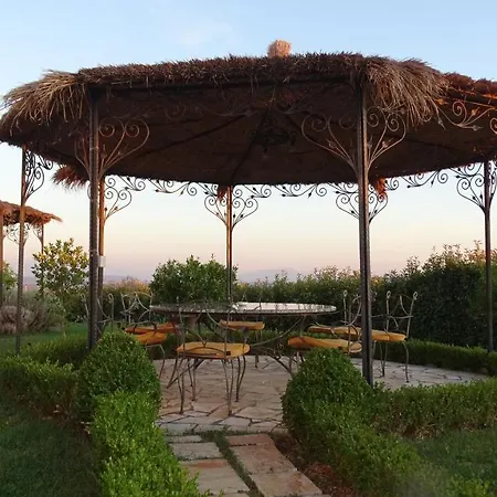 Pepedoro Bio
