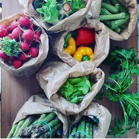 Pepedoro Bio Ośrodek wypoczynkowy *