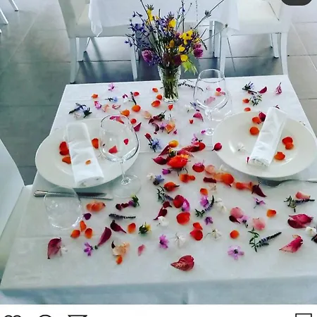 Pepedoro Bio *