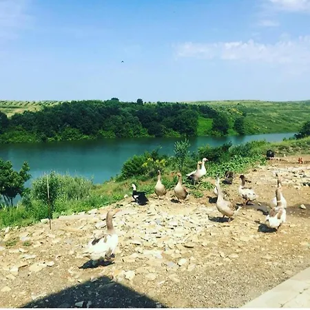 Pepedoro Bio Bashtove