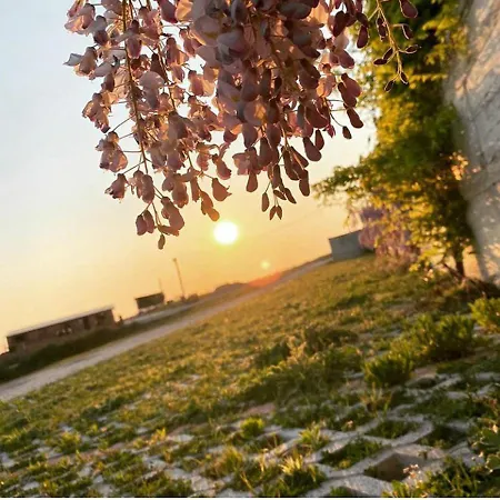 Pepedoro Bio Ośrodek wypoczynkowy Bashtove