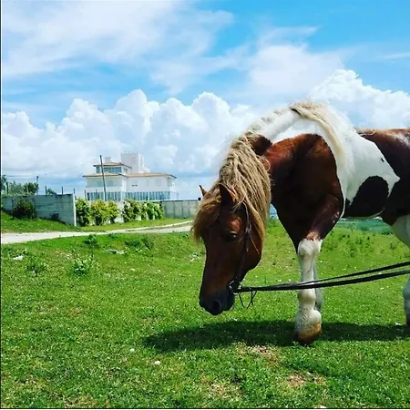 Resort Pepedoro Bio *